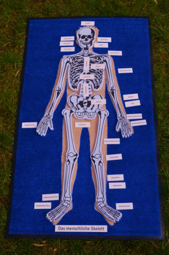 Skelet-puzzel om te leggen op de vloer/tapijt